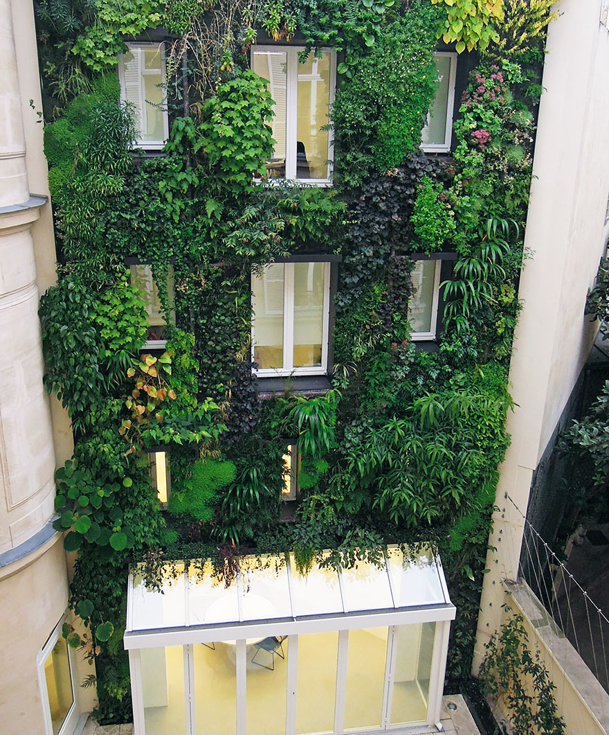 plant-urban-gardens-anyone-law-paris-3a