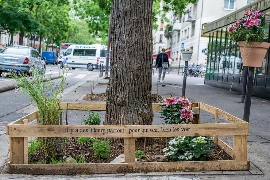 plant-urban-gardens-anyone-law-paris-5ajpg