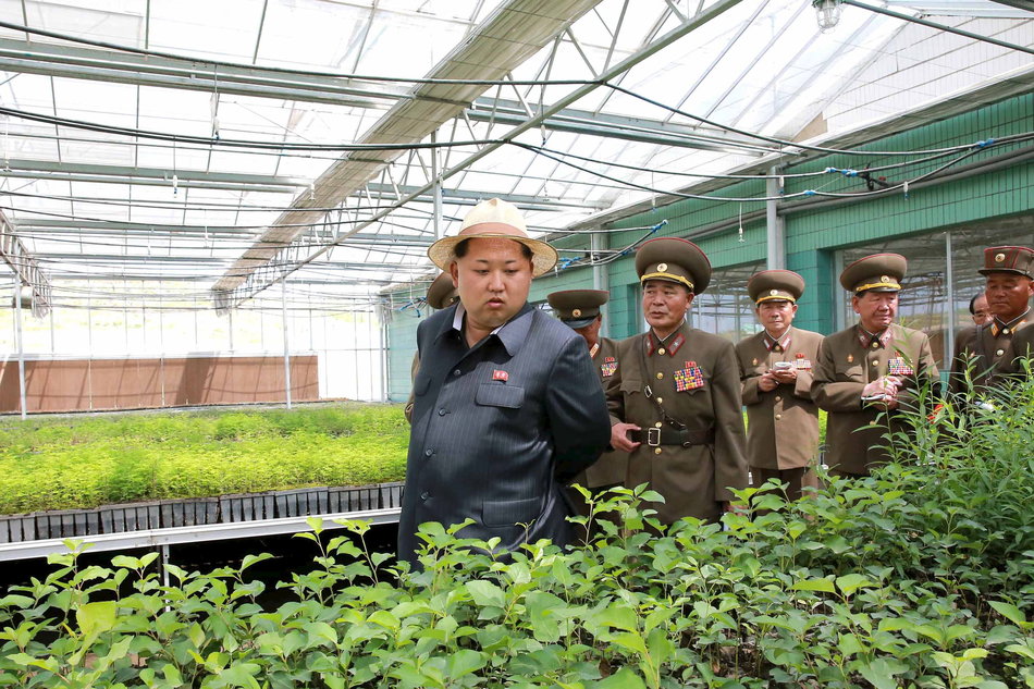 North Korean leader Kim Jong-un gives field guidance at a new tree nursery run by the military in this undated photo released by North Korea's Korean Central News Agency (KCNA) in Pyongyang May 29, 2015. REUTERS/KCNA SOUTH KOREA OUT. NO COMMERCIAL OR EDITORIAL SALES IN SOUTH KOREA THIS IMAGE HAS BEEN SUPPLIED BY A THIRD PARTY. IT IS DISTRIBUTED, EXACTLY AS RECEIVED BY REUTERS, AS A SERVICE TO CLIENTS NO THIRD PARTY SALES. NOT FOR USE BY REUTERS THIRD PARTY DISTRIBUTORS
