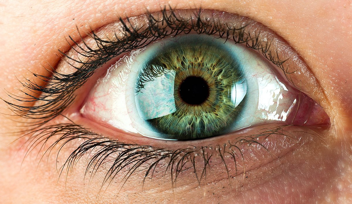 Цвета глаз в природе. Глаз человека. Зелёные глаза. Цвет глаз. Зеленые глаза редкие.